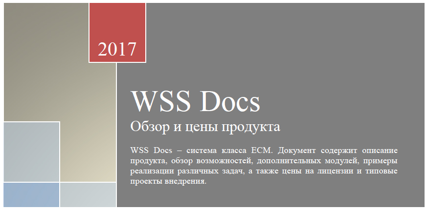 WSS Docs